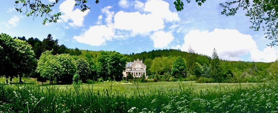 Bed and Breakfast Chateau Du Mazel Alzon Экстерьер фото